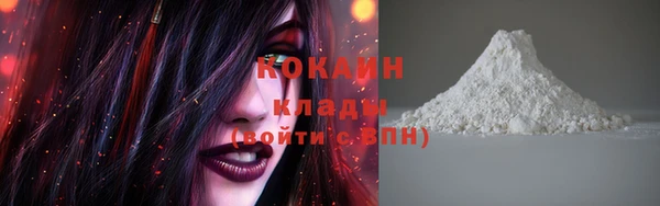 mix Ельня