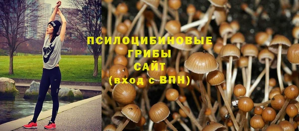mix Ельня