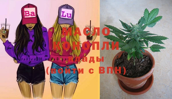 МДПВ Елизово