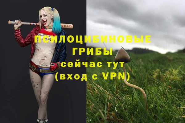 МДПВ Елизово