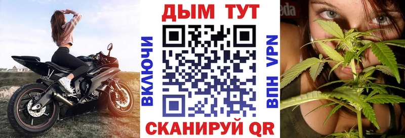 hydra вход  купить наркотики цена  Балашиха  Бошки марихуана Ganja 